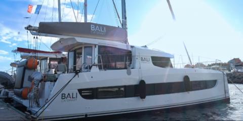 Bali Catsmart - L ASCLEPIOS