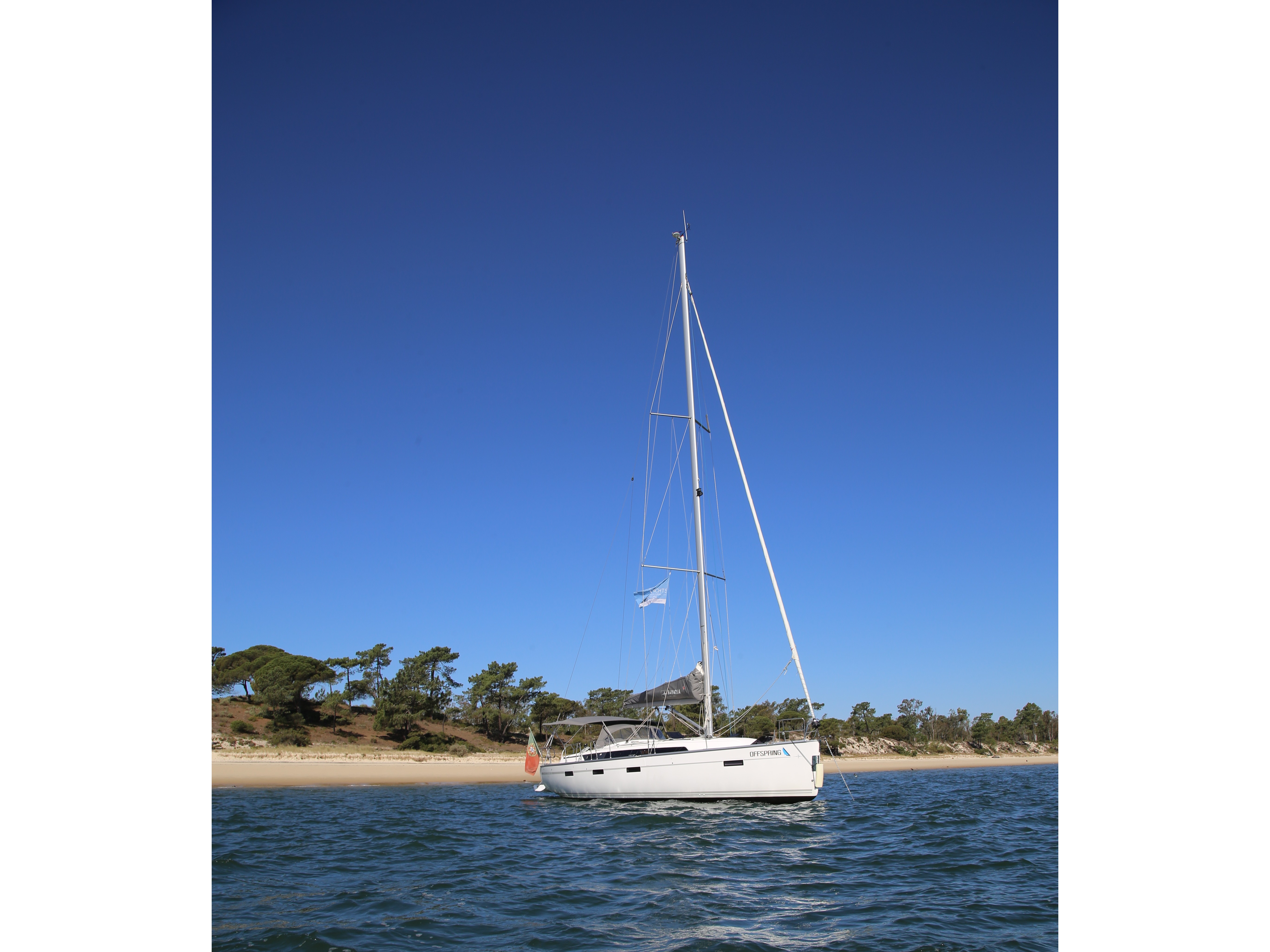 Bavaria Cruiser 41 - OFFSPRING